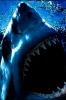 Shark Attacks Your - iPhone